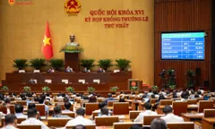 Từ 1/10, thêm cơ chế thúc đẩy TPHCM phát triển