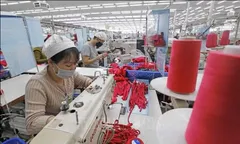 Việt Nam dẫn đầu ASEAN về sức hút đối với doanh nghiệp châu Âu