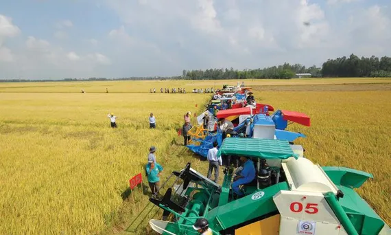 Đẩy mạnh cơ giới hóa nông nghiệp để nâng cao hiệu quả sản xuất 