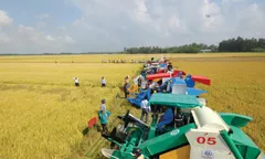 Đẩy mạnh cơ giới hóa nông nghiệp để nâng cao hiệu quả sản xuất