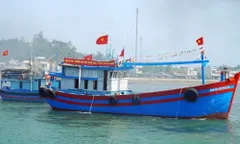 Hỗ trợ Việt Nam tăng cường các hành lang thương mại và phát triển ngành thủy sản