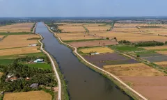 Nguồn nước tăng, thuận lợi cho đồng bằng sông Cửu Long