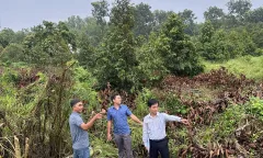 Xã Châu Đức nỗ lực hoàn thành dự án đường vành đai 4
