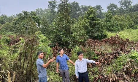 Xã Châu Đức nỗ lực hoàn thành dự án đường vành đai 4