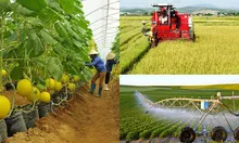 TPHCM thúc đẩy kinh tế tập thể, cơ giới hóa nông nghiệp