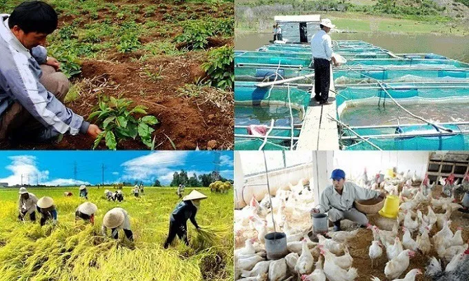 Phát triển chăn nuôi, trồng trọt kết hợp du lịch sinh thái - hướng đi đem lại doanh thu cao