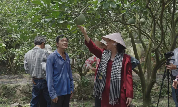 Nông dân thích ứng thị trường, nâng cao thu nhập