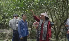 Nông dân thích ứng thị trường, nâng cao thu nhập