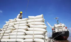 Quy định mới về kinh doanh xuất, nhập khẩu gạo