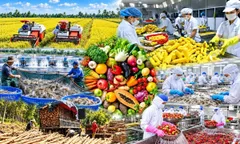 Phát triển vùng nguyên liệu nông, lâm, thủy sản tập trung giai đoạn 2026-2030
