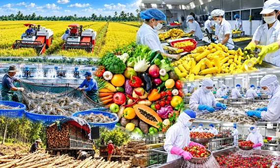 Phát triển vùng nguyên liệu nông, lâm, thủy sản tập trung giai đoạn 2026-2030