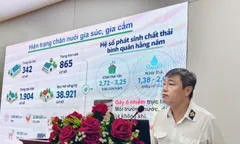 Chăn nuôi: Áp lực từ quá trình đô thị hóa và vấn đề môi trường
