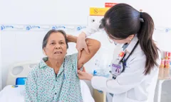 Ve mò đốt âm thầm gây sốt kéo dài và nhiễm trùng huyết
