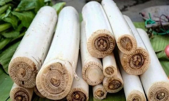 Khai phá tiềm năng của hàng triệu tấn thân chuối thải bỏ 