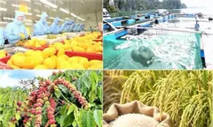 Xuất khẩu nông, lâm, thủy sản 9 tháng tăng 7,8%