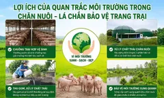 Lợi ích của quan trắc môi trường trong chăn nuôi - Lá chắn bảo vệ trang trạng