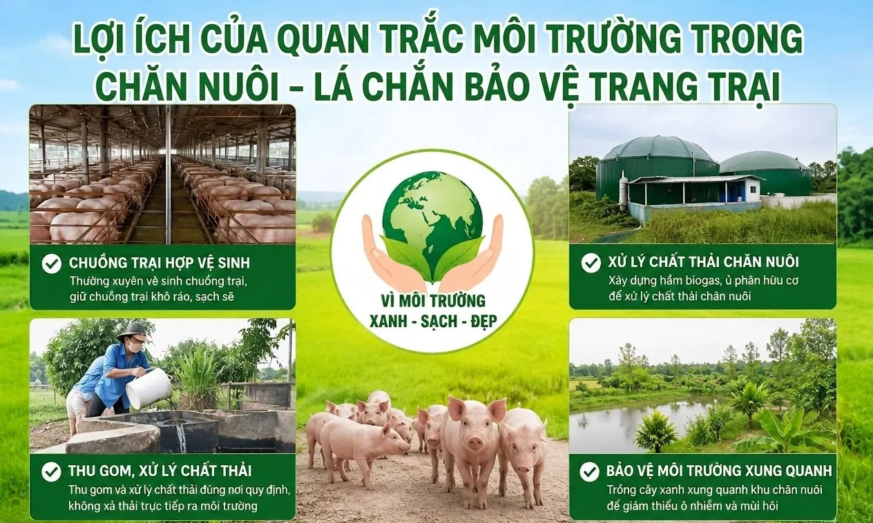Lợi ích của quan trắc môi trường trong chăn nuôi - Lá chắn bảo vệ trang trạng