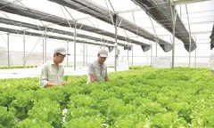 Nông nghiệp tuần hoàn – Giải pháp công nghệ cho nông nghiệp bền vững