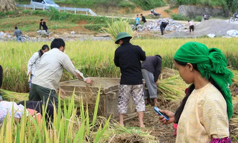 UNDP ghi nhận Việt Nam thuộc nhóm giảm nghèo đa chiều nhanh trên thế giới