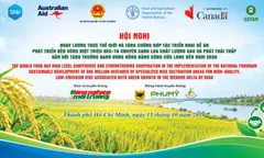Hội nghị tăng cường Đề án phát triển bền vững 1triệu ha chuyên canh lúa CLC và phát triển bền vững.