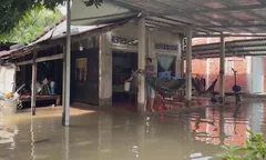 Cơ sở khoa học cho quy hoạch biến đổi khí hậu