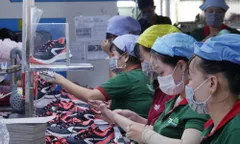 Ngành da giày Việt Nam chinh phục thị trường nội địa quy mô khoảng 1,5 tỷ USD