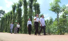 Dân vận khéo - chung sức xây dựng đường quê Hoà Hiệp