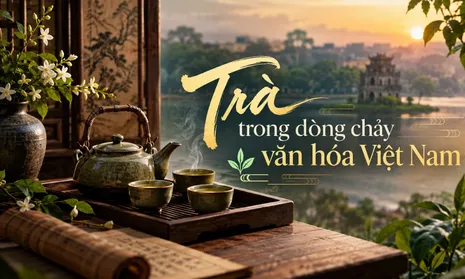 Trà trong dòng chảy văn hóa Việt Nam