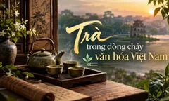 Trà trong dòng chảy văn hóa Việt Nam