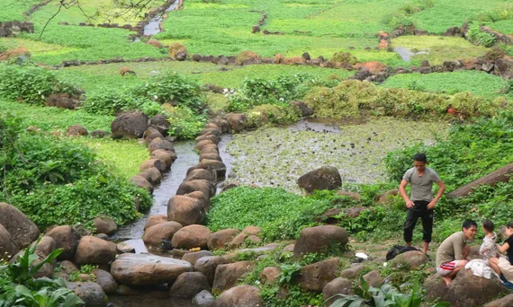 Giếng cổ Gio An và dòng nước kỳ diệu nuôi vùng rau tiền tỷ ở Quảng Trị