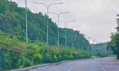 Cần Giờ – Mảnh ghép mới của du lịch TPHCM