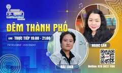 Lễ hội hoa tam giác mạch 2026