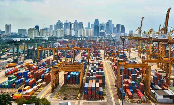 Kim ngạch thương mại Việt Nam-Singapore tăng trưởng vượt trội