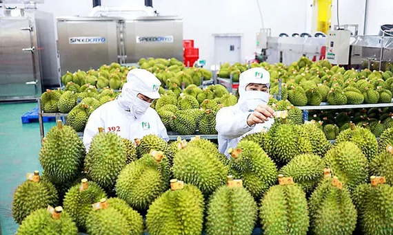 Xuất khẩu rau quả sát mốc 10 tỷ USD