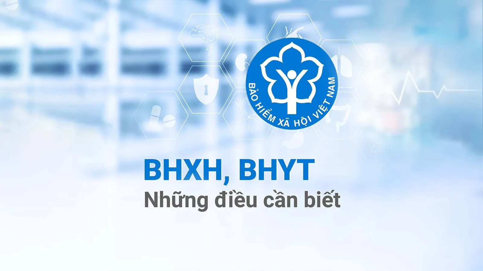 Bảo hiểm xã hội - Bảo hiểm y tế ngày 05/02/2026