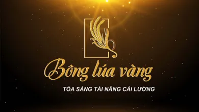 BÔNG LÚA VÀNG HÀNH TRÌNH