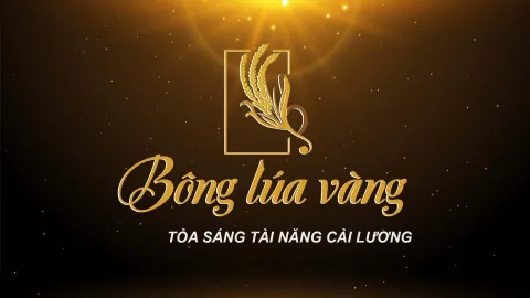 BÔNG LÚA VÀNG MẠ NON 22/10/2022