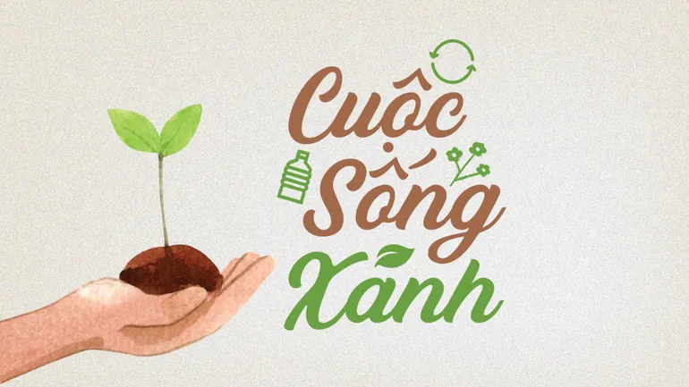 Ý thức người dân trong bảo vệ môi trường Thành phố còn kém