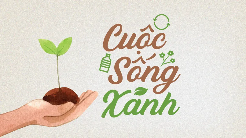 Quận 7 - Chuyển hóa khu đất trống thành vườn cây thuốc đông y