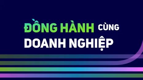 Chấp hành pháp luật trong doanh nghiệp khởi nghiệp