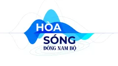 Câu chuyện cuối năm cùng các đầu cầu BP, TN và BR-VT