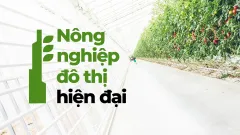 NÔNG NGHIỆP ĐÔ THỊ HIỆN ĐẠI