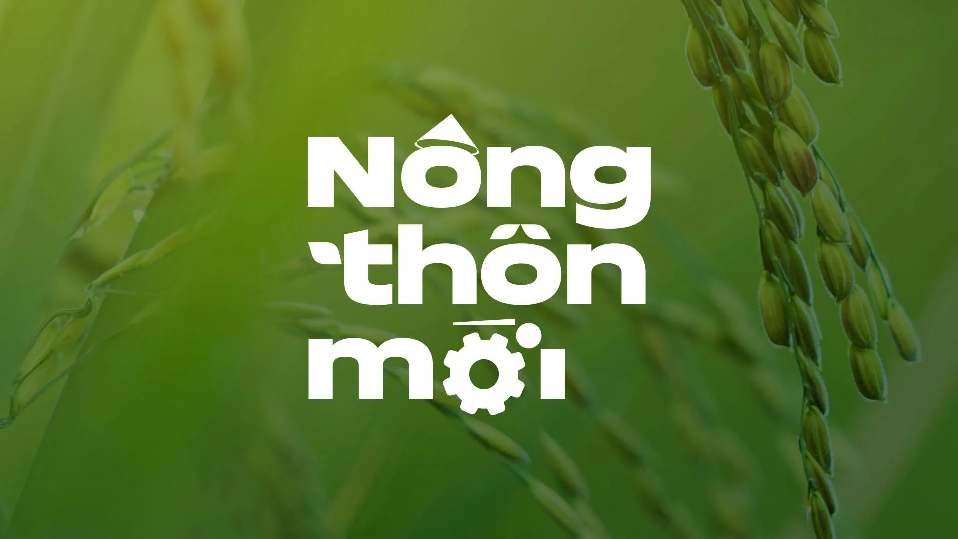 Nông thôn mới ngày 22/04/2024