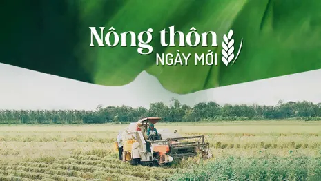 Chiến lược quốc gia về tăng trưởng xanh giai đoạn 2021 – 2030