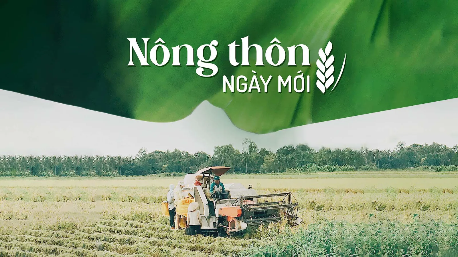 Nông thôn ngày mới 20/02/2026: Xuất khẩu thủy sản năm 2025 bứt phá ngoạn mục