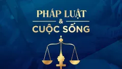 Pháp luật và cuộc sống ngày 11/12/2025