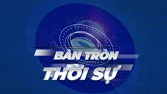 Tết Bính Ngọ 2026: Tết xanh, Tết hạnh phúc cho người Việt.