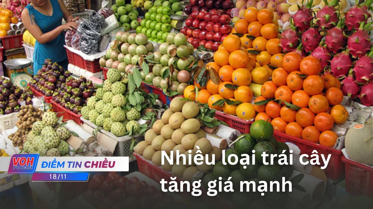 Điểm tin chiều 24/11: Nhiều loại trái cây tăng giá mạnh | Nhật Bản nhập khẩu nhãn tươi Việt Nam