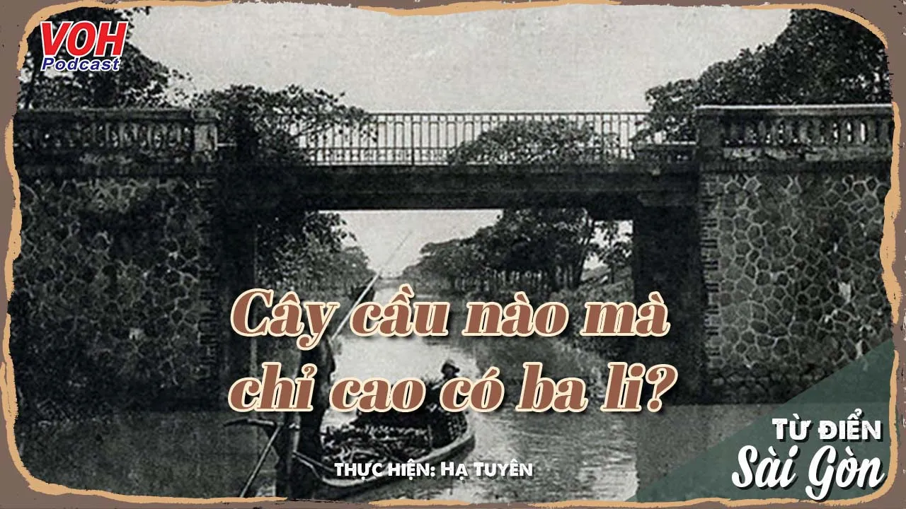 #9: Cây cầu thấp nhất Sài Gòn