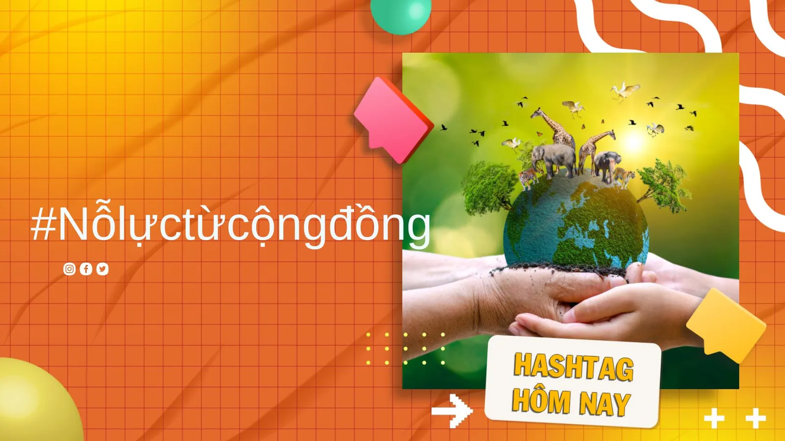Nỗ lực từ cộng đồng: 3/3 ngày Quốc tế động, thực vật hoang dã